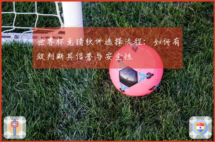 世界杯竞猜软件选择流程：如何有效判断其信誉与安全性