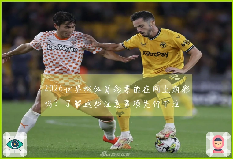 2026世界杯体育彩票能在网上购彩吗？了解这些注意事项先行下注