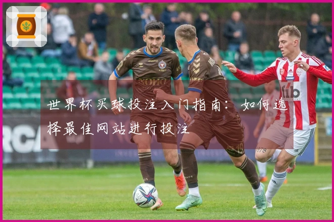 世界杯买球投注入门指南：如何选择最佳网站进行投注