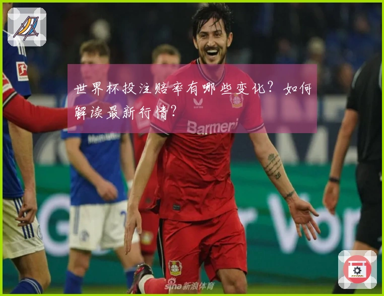 世界杯投注赔率有哪些变化？如何解读最新行情？